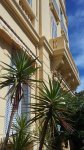 OFFRES SPECIALES DE SEJOUR A CANNES